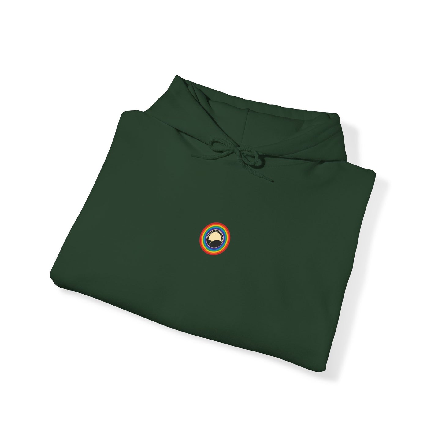 Casual: Rainbow Logo Hoody