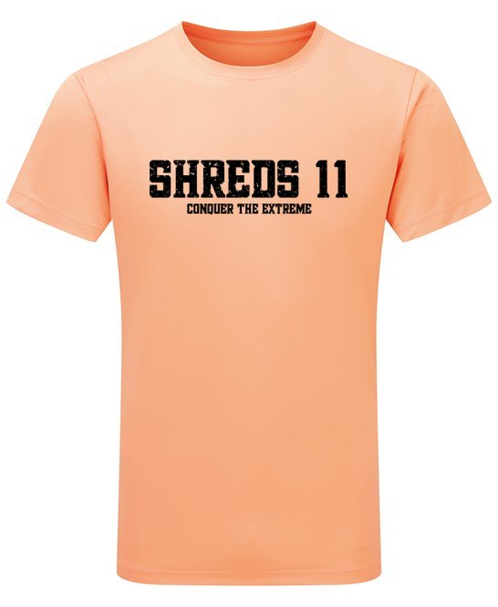 Conquer: Tee Adult (Dri Fit)